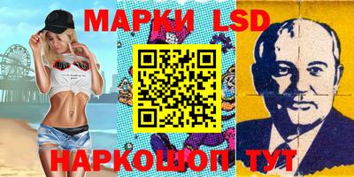винт Донецк