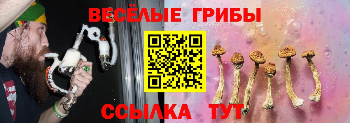 Псилоцибиновые грибы мицелий Люберцы