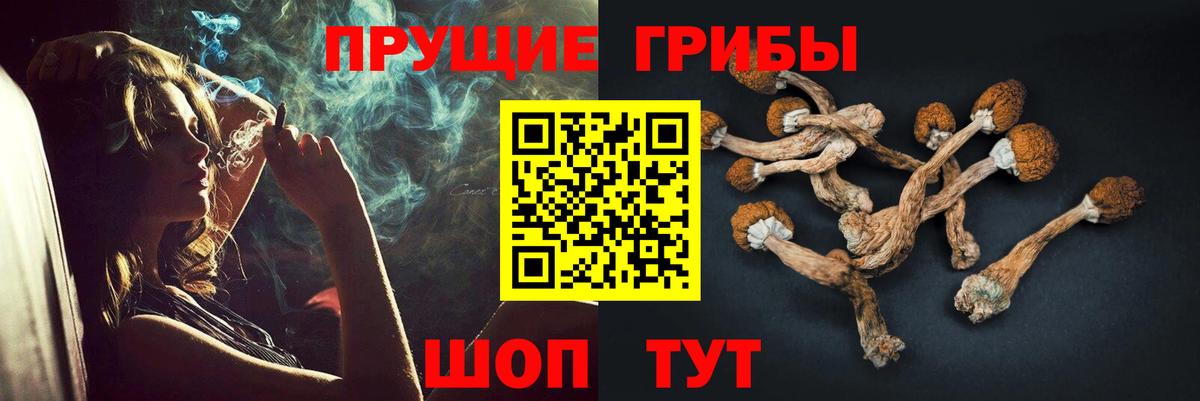 Псилоцибиновые грибы Cubensis  Вход с VPN  Люберцы  Псилоцибиновые грибы MAGIC MUSHROOMS 